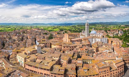 Siena, San Gimignano e Chianti: excursão de dia de vinho de Pisa